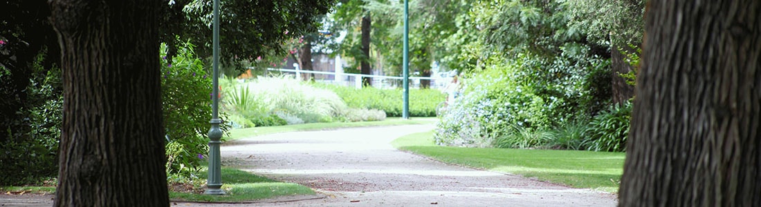 Nature-Walk-Summer-BenallaBotanicalGardens-4x1 Benalla Botanical Gardens