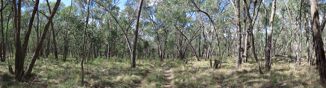 Nature-Park-Spring-ReefHillsStateParkBenalla-4x10 Reef.Hills.State.Park.credit.Parks.Victoria