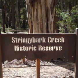 Stringybark Creek