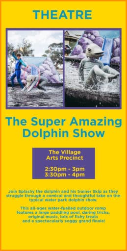 The Super Amazing Dolphin Show