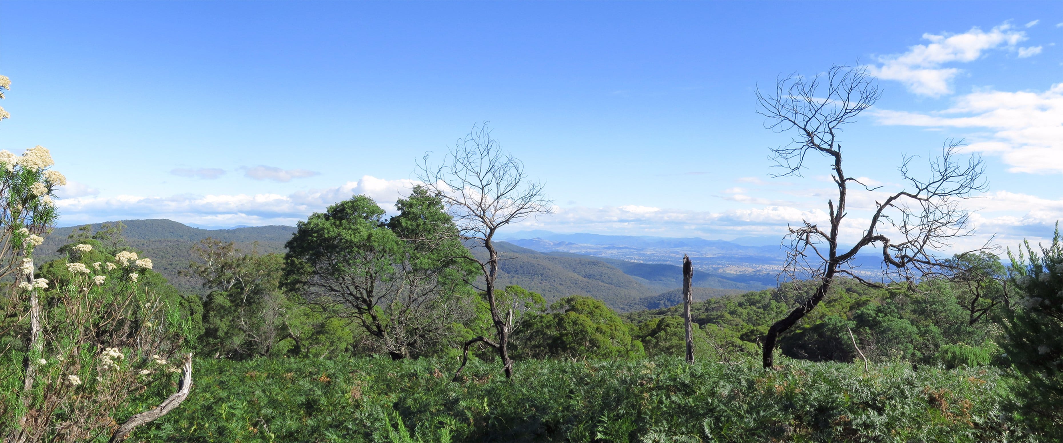 Mount Samaria State Park