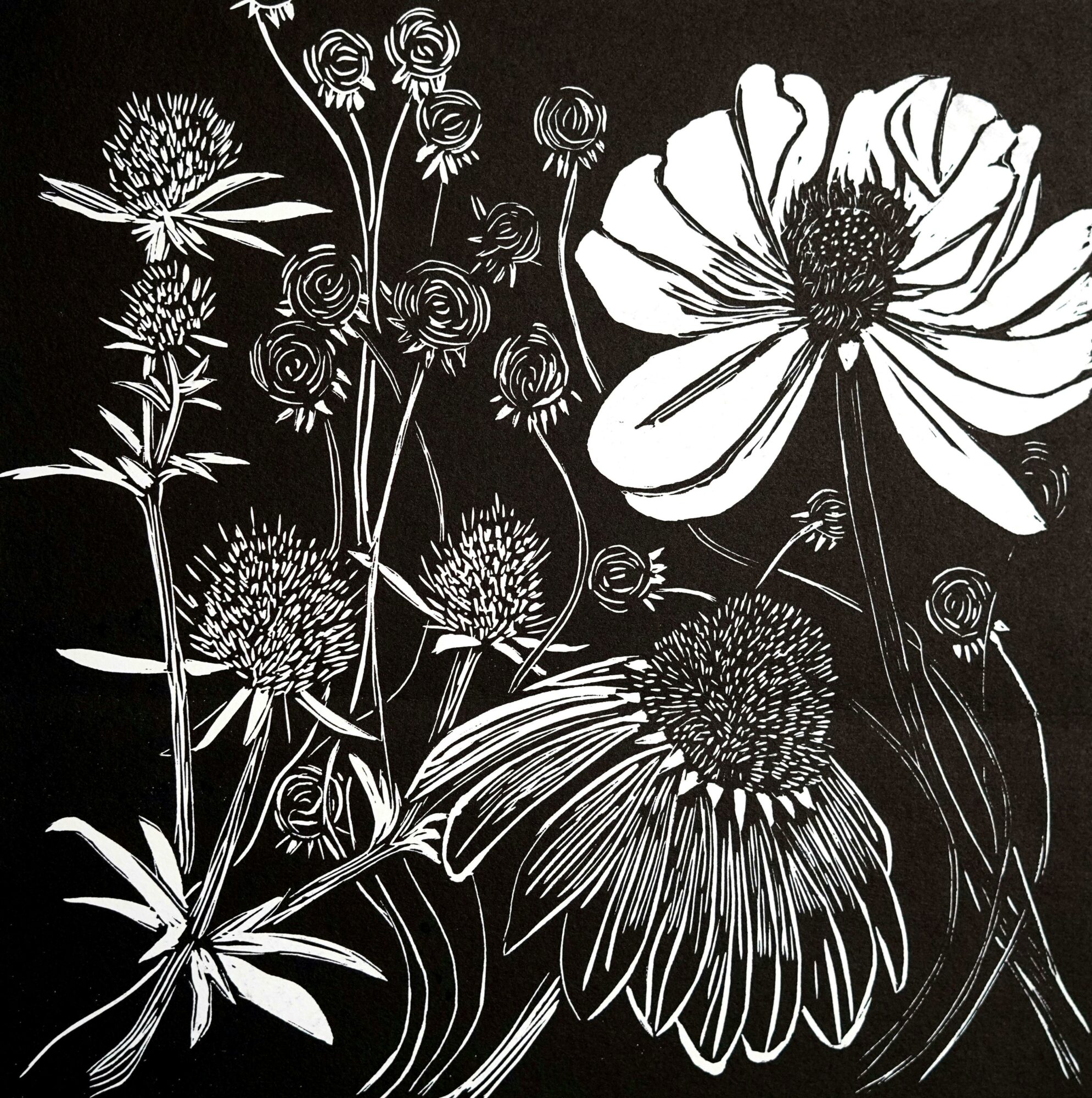 Benalla Art Gallery  - Kerryn Amery: Mostly Black and White