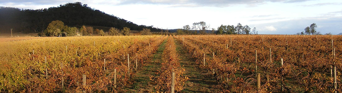 FWB-Wine(vineyard)-Autumn-BoothsTaminick-4x1 Booths Taminick